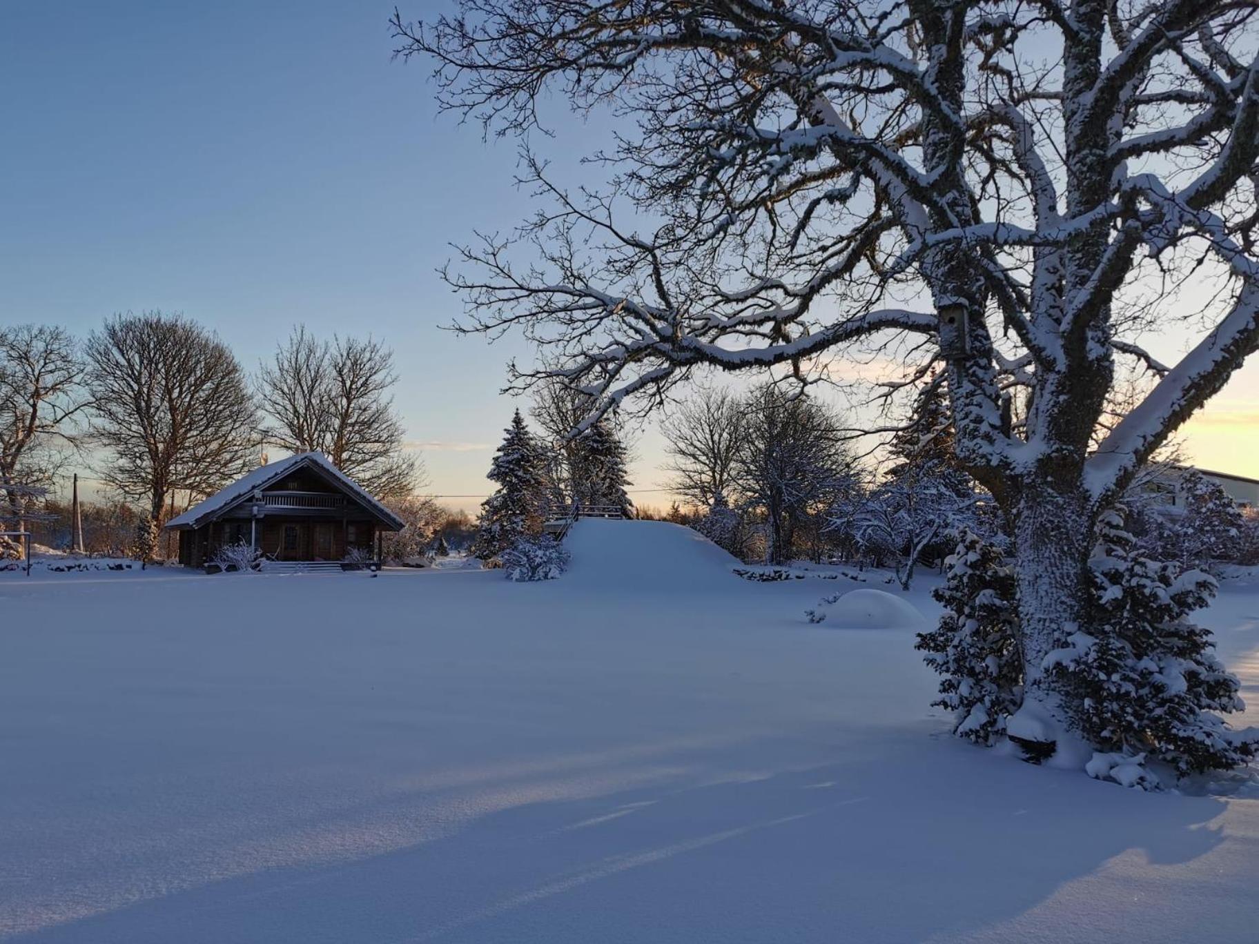 Kangru Holiday Home Vanamoisa ภายนอก รูปภาพ